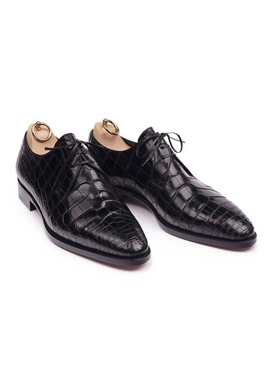 Crocodile shoes 2025