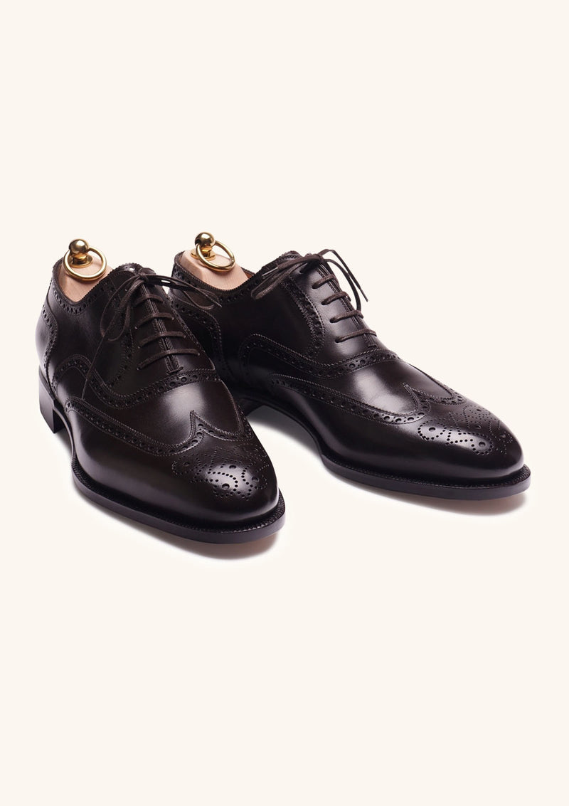 Brown Wingtip Brogue Oxfords with Medallion