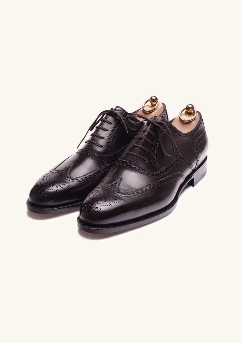 Brown Wingtip Brogue Oxfords with Medallion