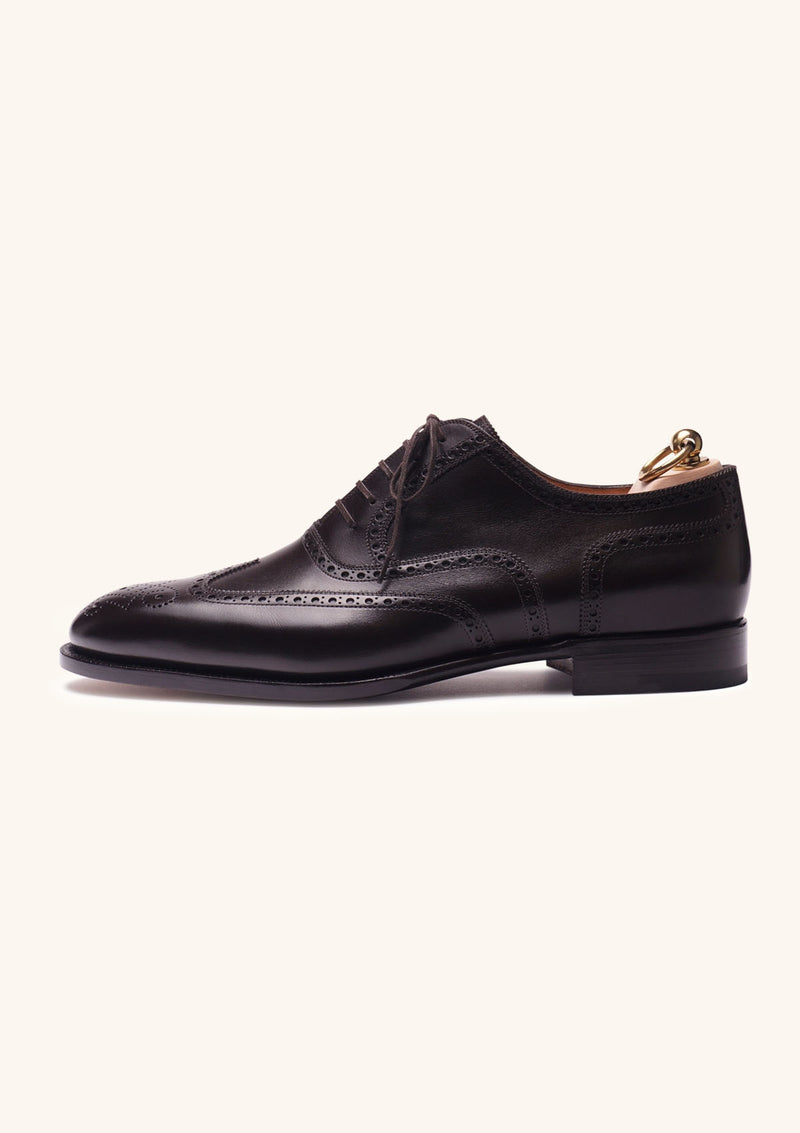 Brown Wingtip Brogue Oxfords with Medallion